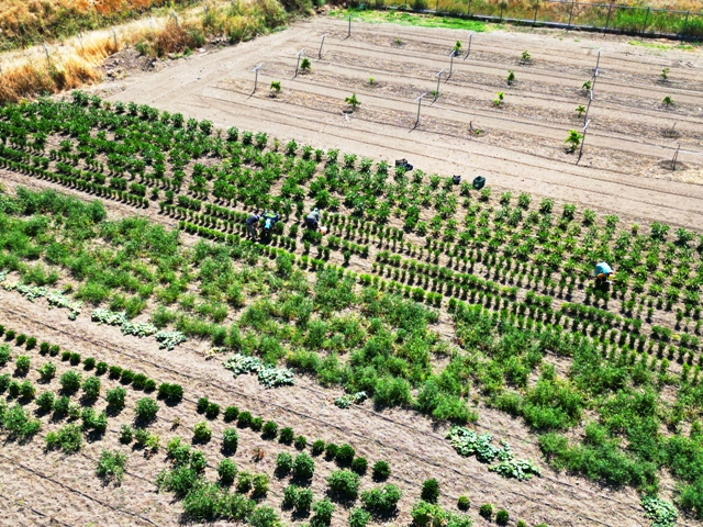 Eti Alüminyum’dan Milli Ağaçlandırma Günü’nde Türkiye’nin ağaç varlığına 37 bin 900 fidanlık katkı - Görsel 2