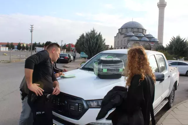 Aksaray'da Nesli Tehlike Altındaki Gelinciği Satmaya Çalışan Genç, Suçüstü Yakalandı - Görsel 2