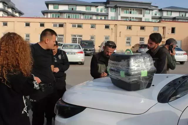 Aksaray'da Nesli Tehlike Altındaki Gelinciği Satmaya Çalışan Genç, Suçüstü Yakalandı - Görsel 3