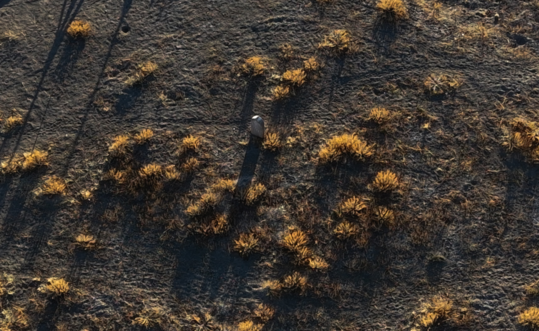 Konya - 92 yıl önce köy mezarı yerine Çatalhöyük'e gömülen Güllü Ayşa'nın öyküsü - Görsel 6