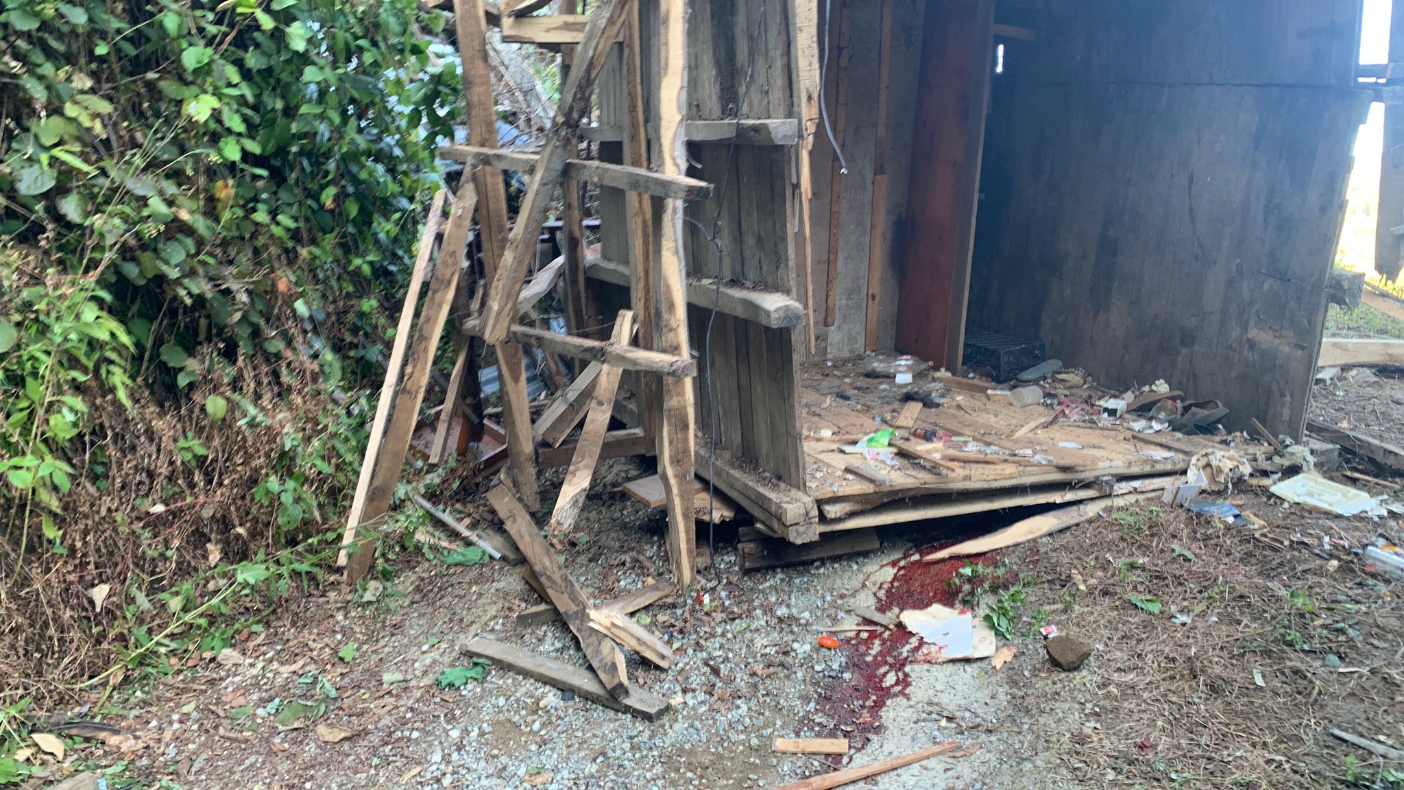 Rize'de Arı kovanlarının bulunduğu ahşap yapı devrildi; 2 ölü, 1 yaralı - Görsel 10