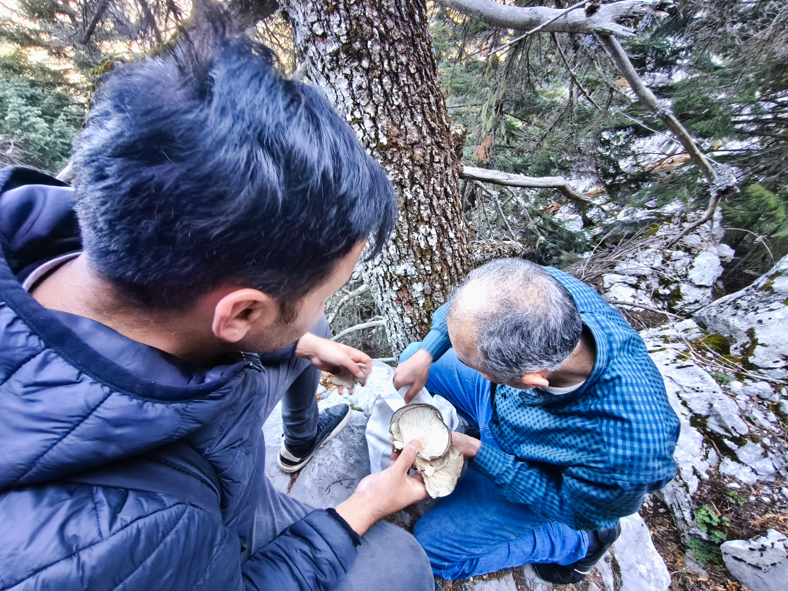 Seydişehir'in Sarp Kayalarında Tehlikeye Meydan Okuyan Mantar Avcıları - Görsel 3