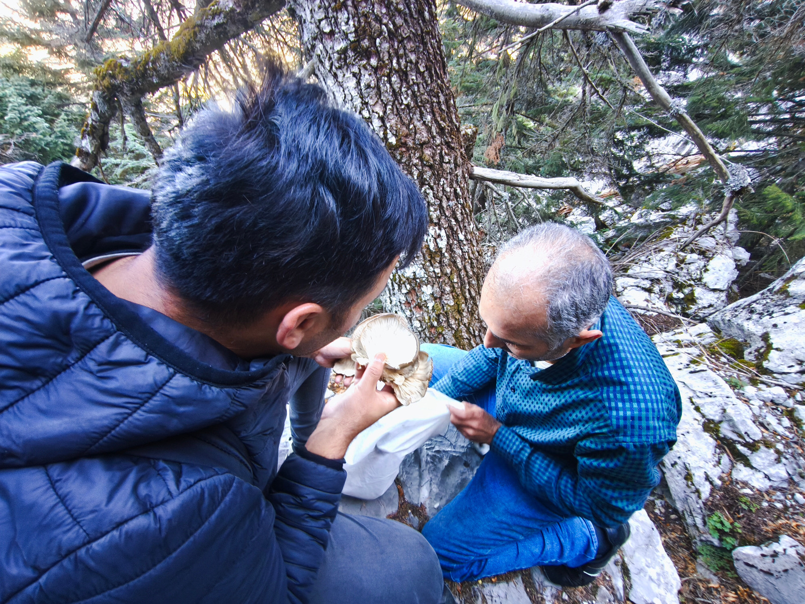 Seydişehir'in Sarp Kayalarında Tehlikeye Meydan Okuyan Mantar Avcıları - Görsel 4