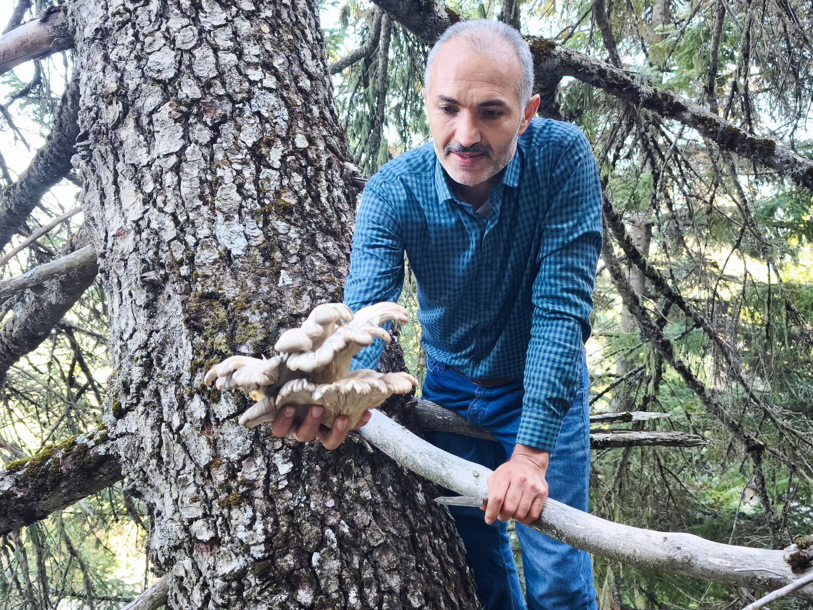 Seydişehir'in Sarp Kayalarında Tehlikeye Meydan Okuyan Mantar Avcıları - Görsel 5