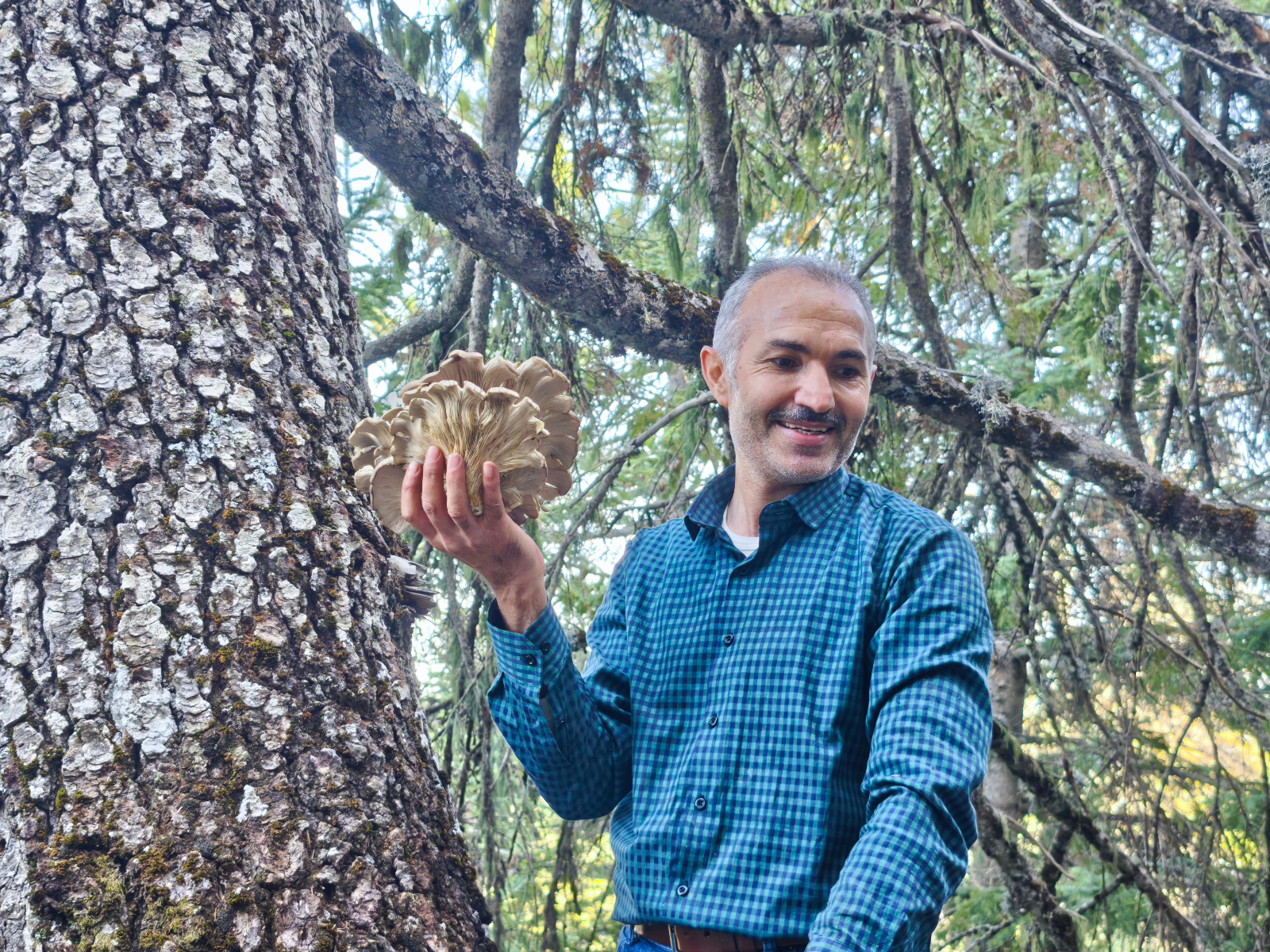 Seydişehir'in Sarp Kayalarında Tehlikeye Meydan Okuyan Mantar Avcıları - Görsel 6