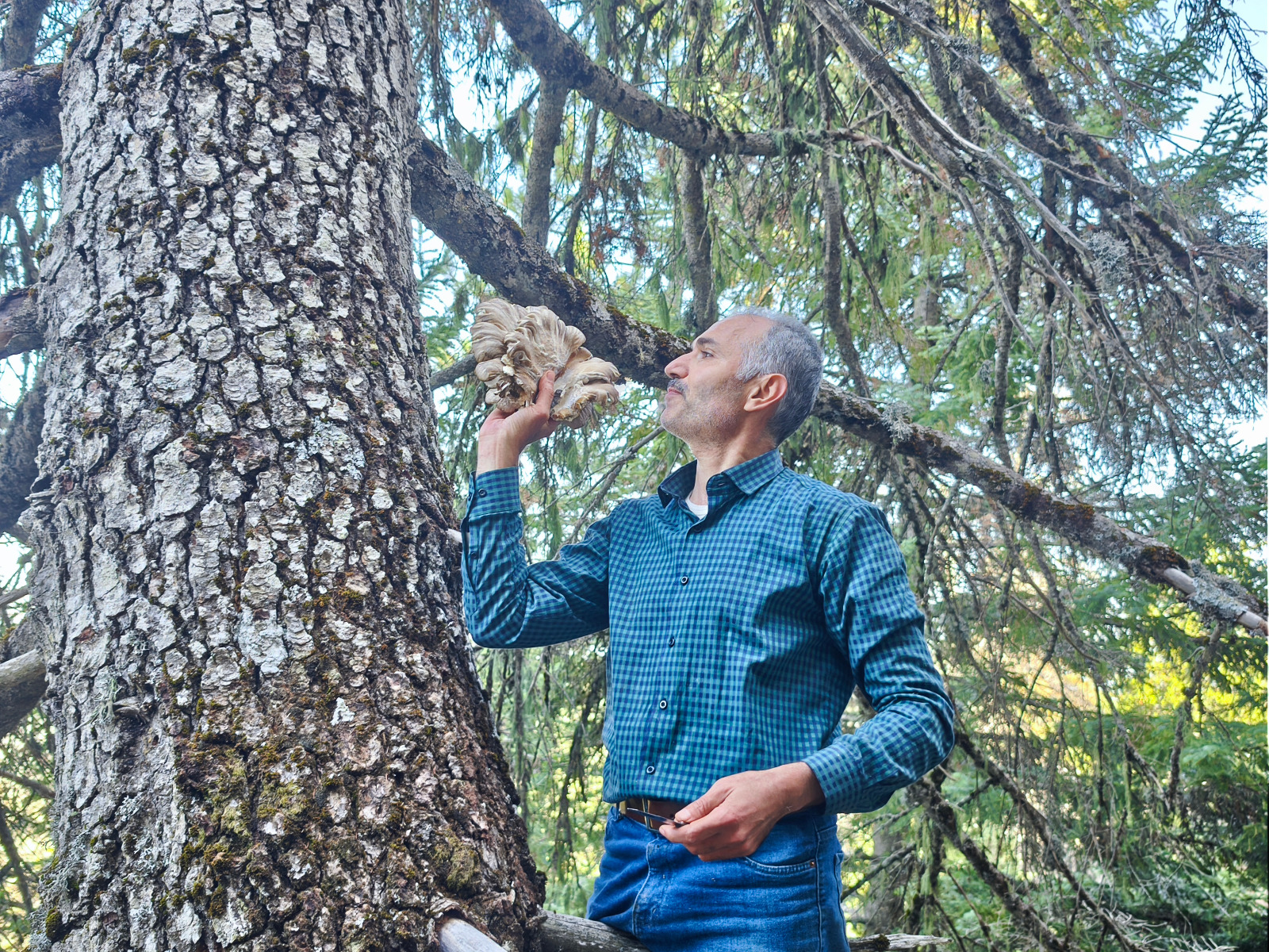 Seydişehir'in Sarp Kayalarında Tehlikeye Meydan Okuyan Mantar Avcıları - Görsel 7