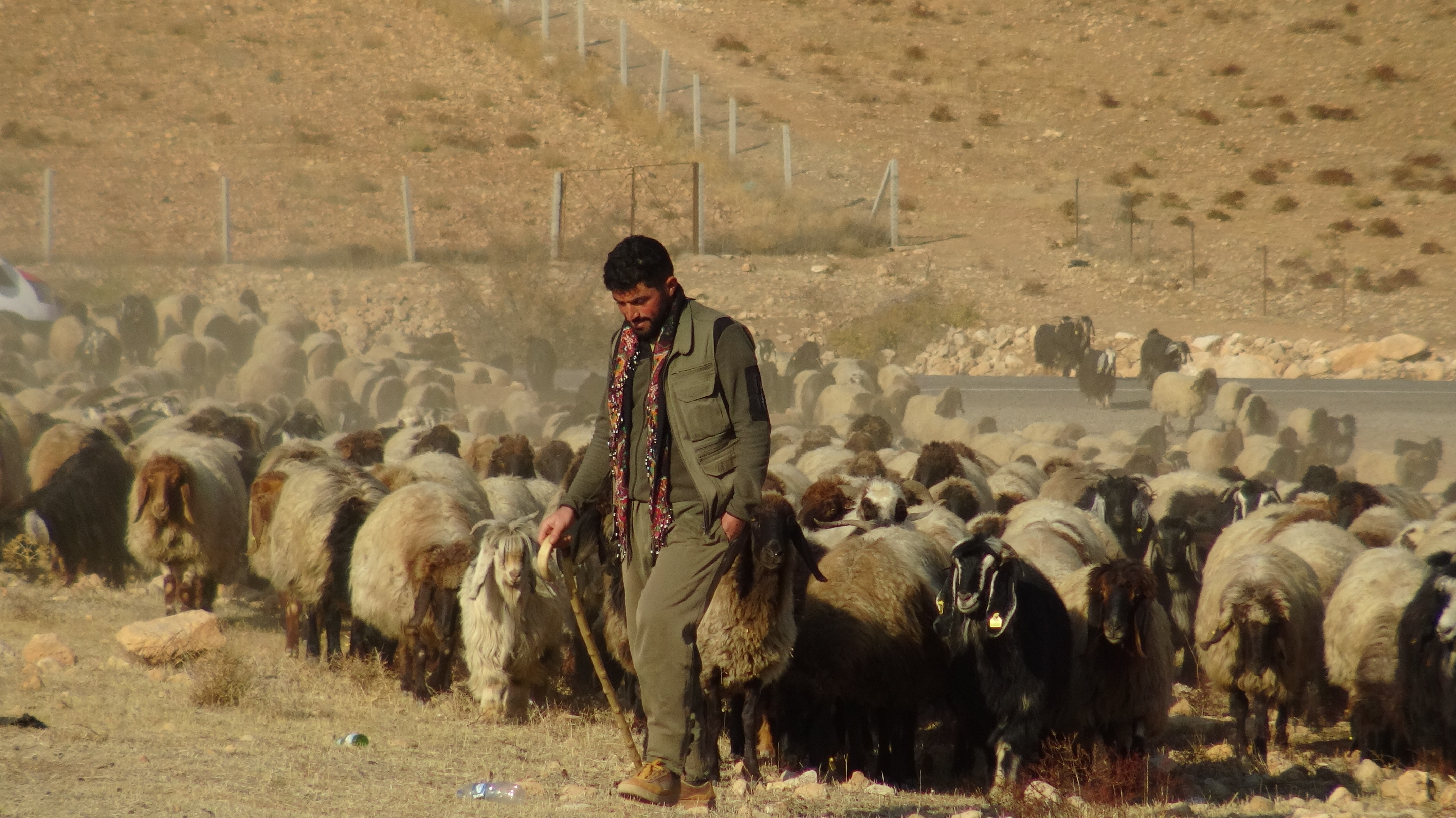 Göçerlerin zorlu yolculuğu başladı - Görsel 4