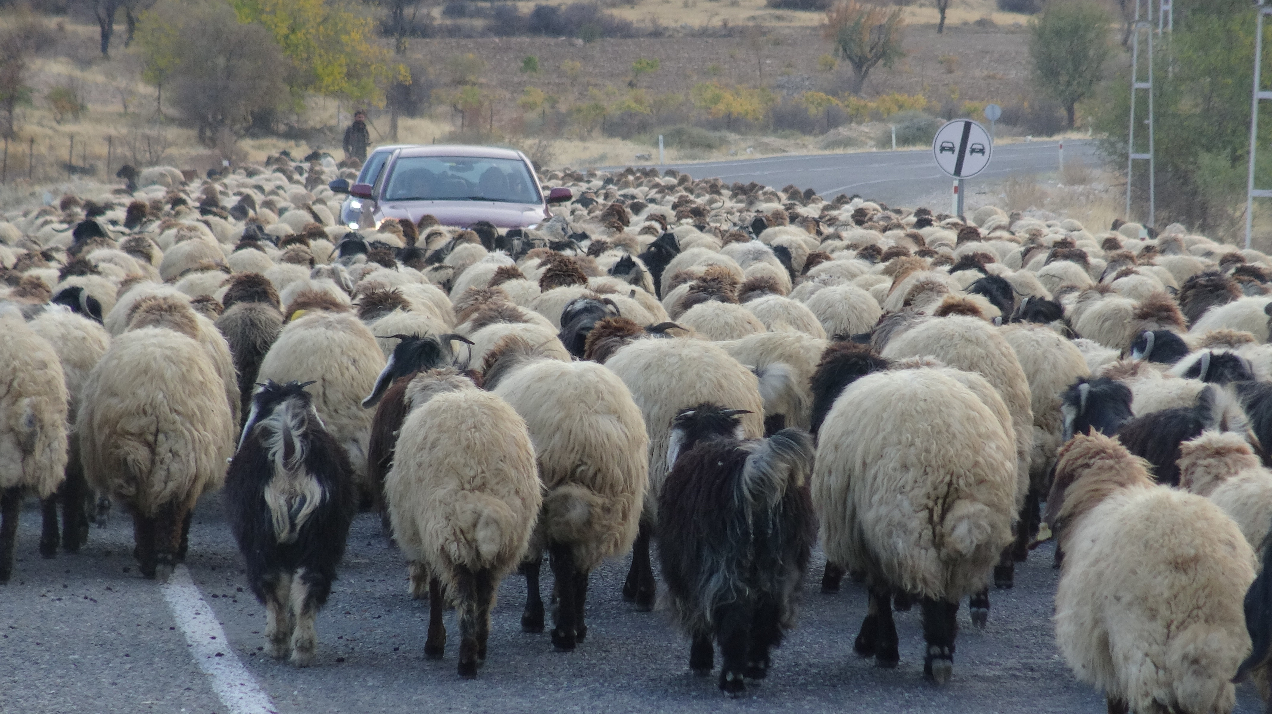 Göçerlerin zorlu yolculuğu başladı - Görsel 7