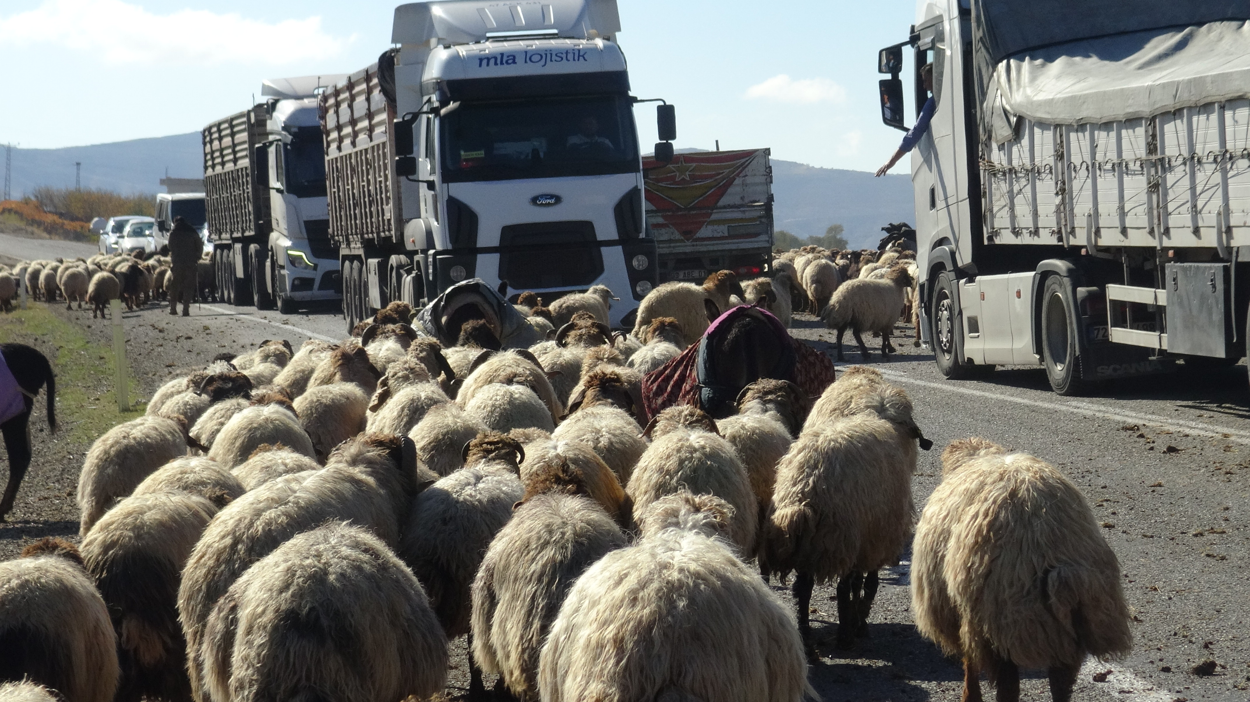 Göçerlerin zorlu yolculuğu başladı - Görsel 10