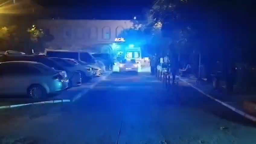 Mardin'de anne, baba ve 5 yaşındaki kızları, başlarından vurulmuş halde ölü bulundu - Görsel 2