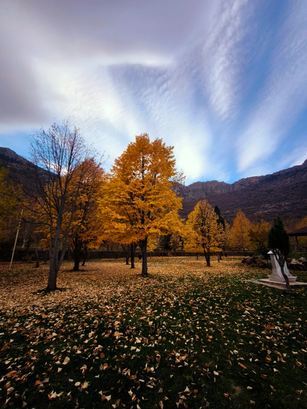 Seydişehir'in Saklı Cenneti Kuğulu Tabiat Parkı, Sonbaharın Tüm Renklerine Büründü FOTOHABER - Görsel 1