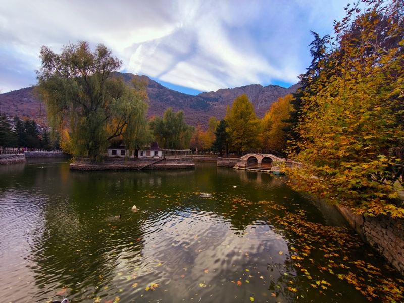 Seydişehir'in Saklı Cenneti Kuğulu Tabiat Parkı, Sonbaharın Tüm Renklerine Büründü FOTOHABER - Görsel 2