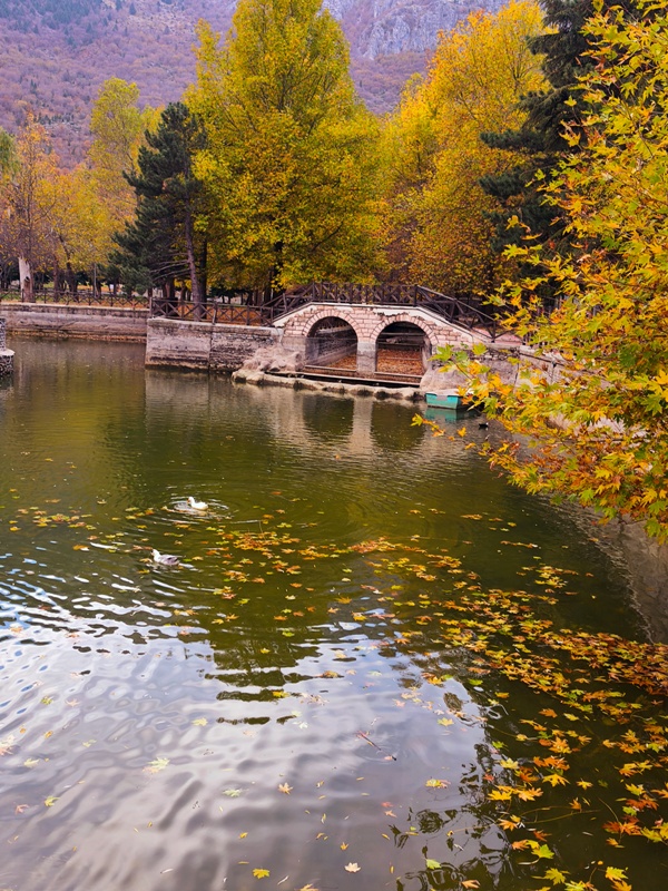 Seydişehir'in Saklı Cenneti Kuğulu Tabiat Parkı, Sonbaharın Tüm Renklerine Büründü FOTOHABER - Görsel 5