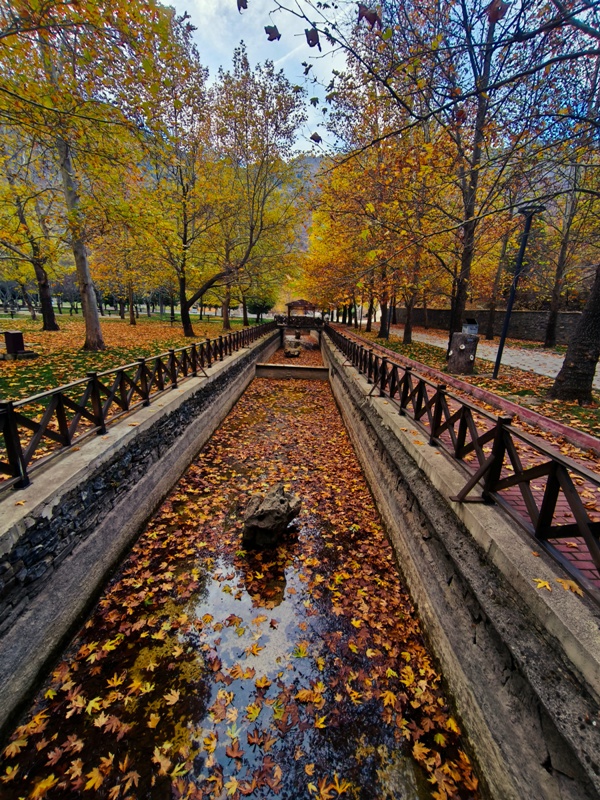 Seydişehir'in Saklı Cenneti Kuğulu Tabiat Parkı, Sonbaharın Tüm Renklerine Büründü FOTOHABER - Görsel 8