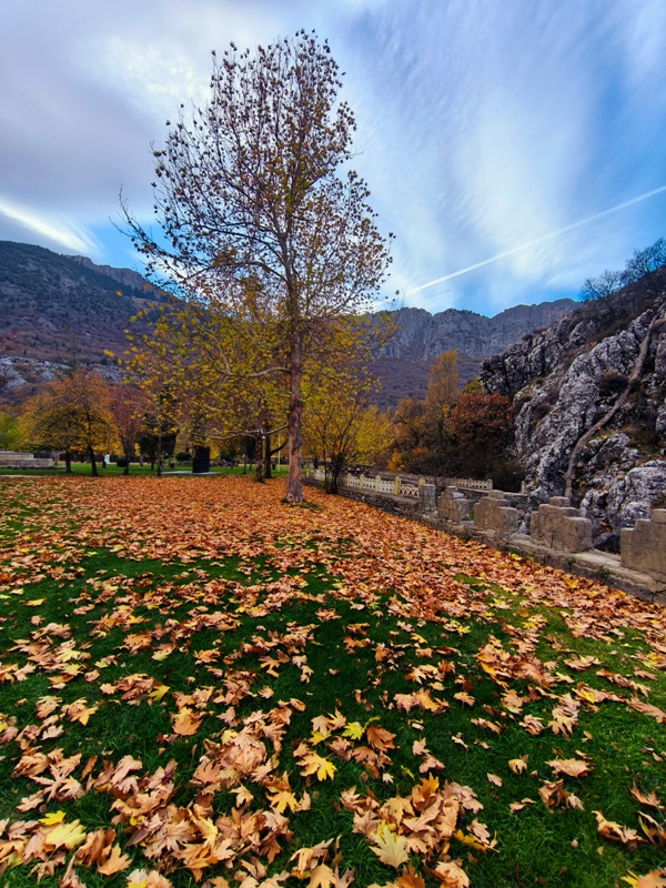 Seydişehir'in Saklı Cenneti Kuğulu Tabiat Parkı, Sonbaharın Tüm Renklerine Büründü FOTOHABER - Görsel 10