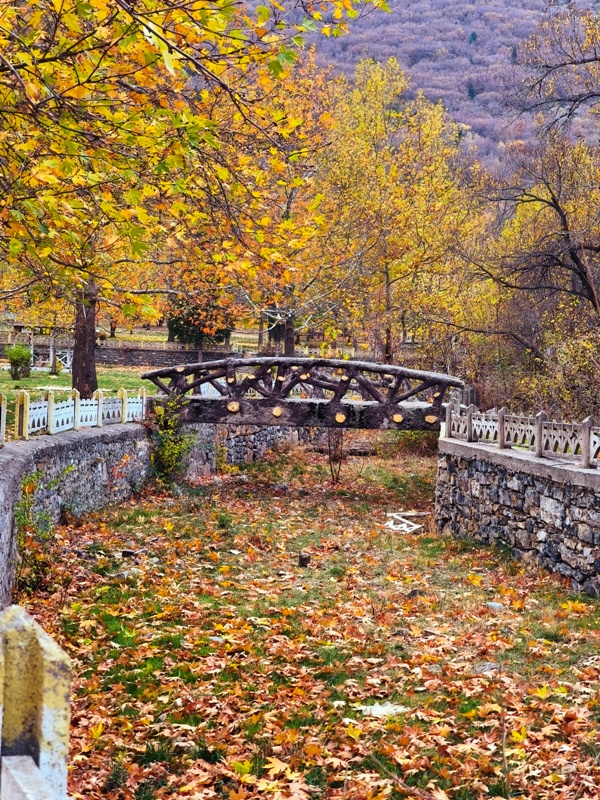 Seydişehir'in Saklı Cenneti Kuğulu Tabiat Parkı, Sonbaharın Tüm Renklerine Büründü FOTOHABER - Görsel 12