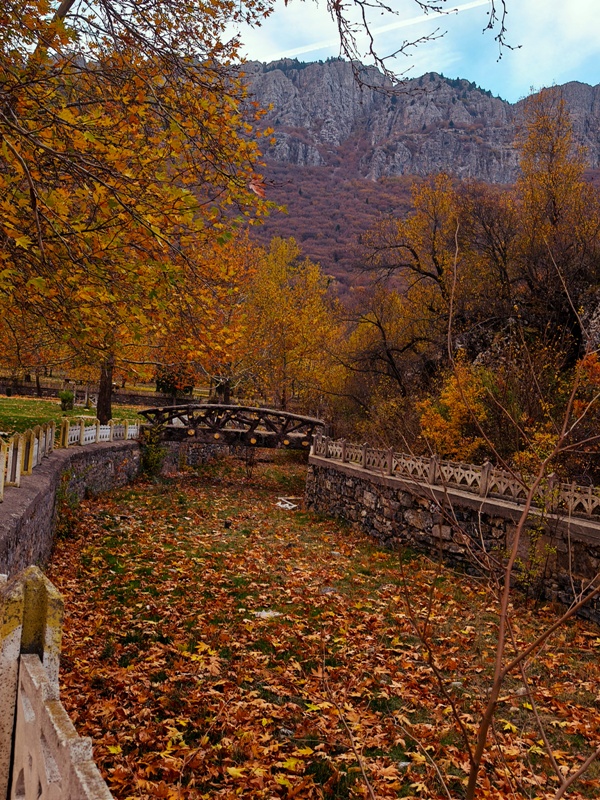 Seydişehir'in Saklı Cenneti Kuğulu Tabiat Parkı, Sonbaharın Tüm Renklerine Büründü FOTOHABER - Görsel 13