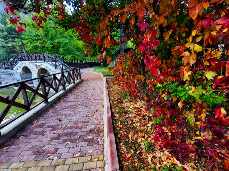 Seydişehir'in Saklı Cenneti Kuğulu Tabiat Parkı, Sonbaharın Tüm Renklerine Büründü FOTOHABER - Görsel 15