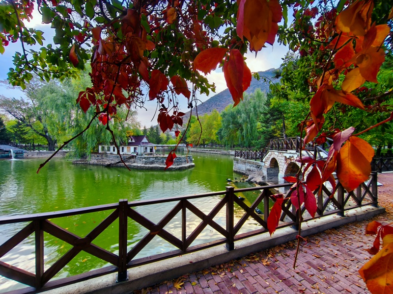 Seydişehir'in Saklı Cenneti Kuğulu Tabiat Parkı, Sonbaharın Tüm Renklerine Büründü FOTOHABER - Görsel 16