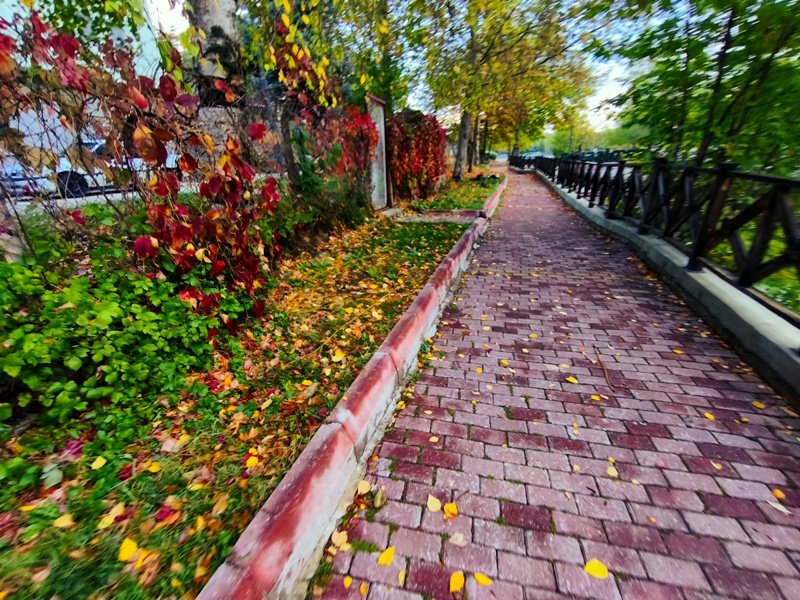 Seydişehir'in Saklı Cenneti Kuğulu Tabiat Parkı, Sonbaharın Tüm Renklerine Büründü FOTOHABER - Görsel 17