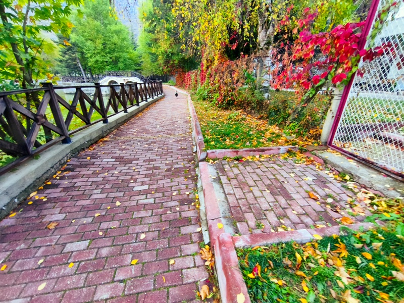 Seydişehir'in Saklı Cenneti Kuğulu Tabiat Parkı, Sonbaharın Tüm Renklerine Büründü FOTOHABER - Görsel 19