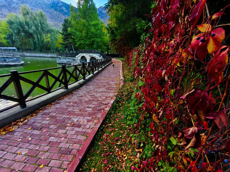 Seydişehir'in Saklı Cenneti Kuğulu Tabiat Parkı, Sonbaharın Tüm Renklerine Büründü FOTOHABER - Görsel 20