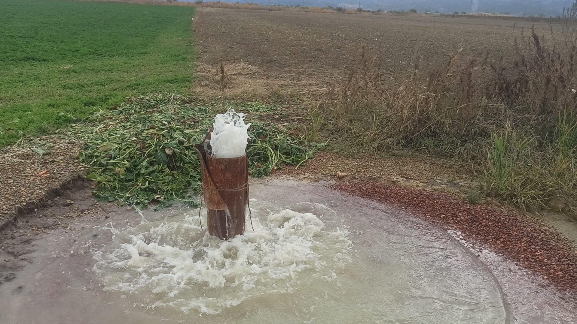 Kuraklığın Gölgesinde Şaşırtan Görüntü: Seydişehir'de Sondaj Kuyusundan Su Fışkırdı - Görsel 1