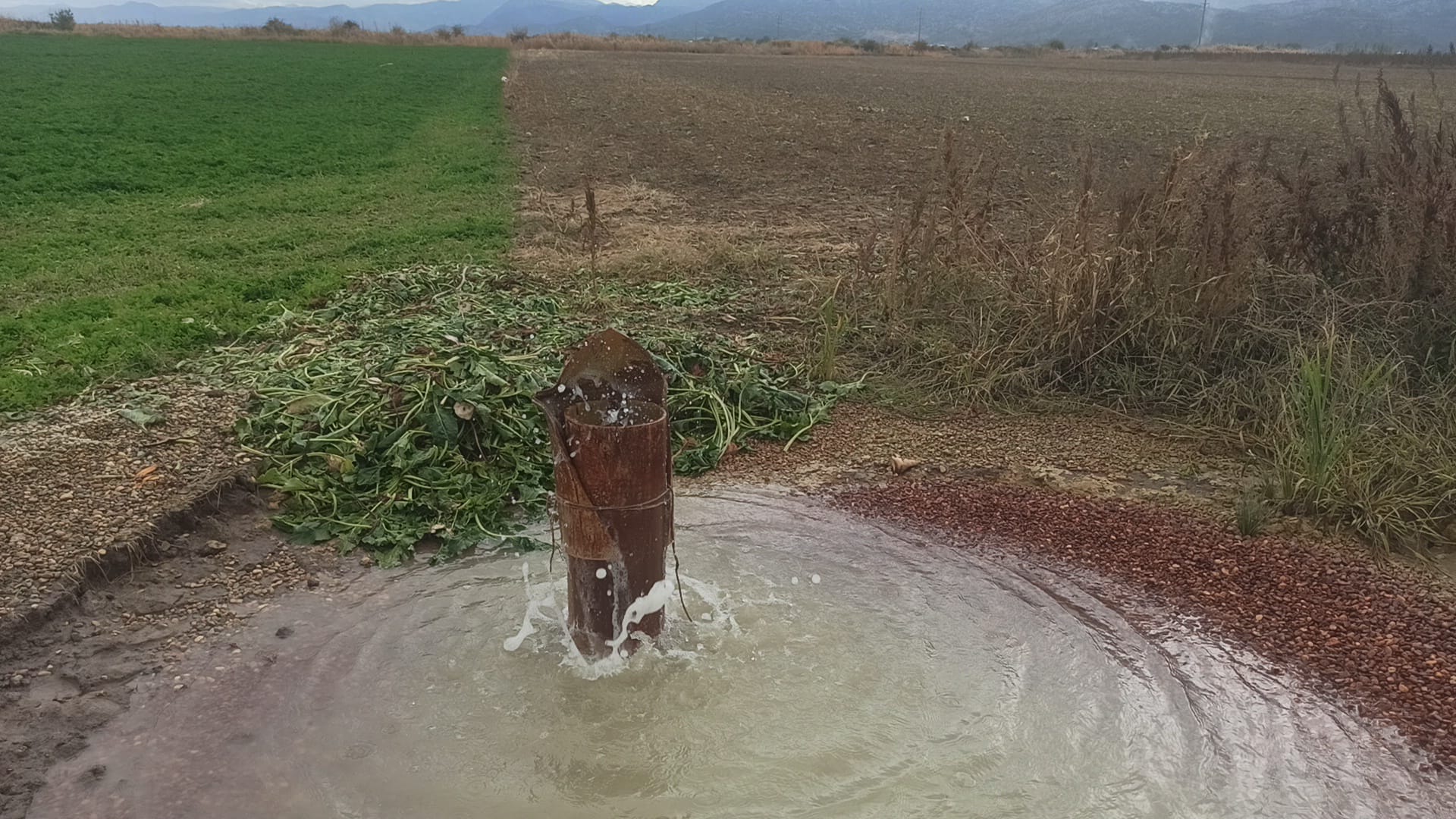 Kuraklığın Gölgesinde Şaşırtan Görüntü: Seydişehir'de Sondaj Kuyusundan Su Fışkırdı - Görsel 2