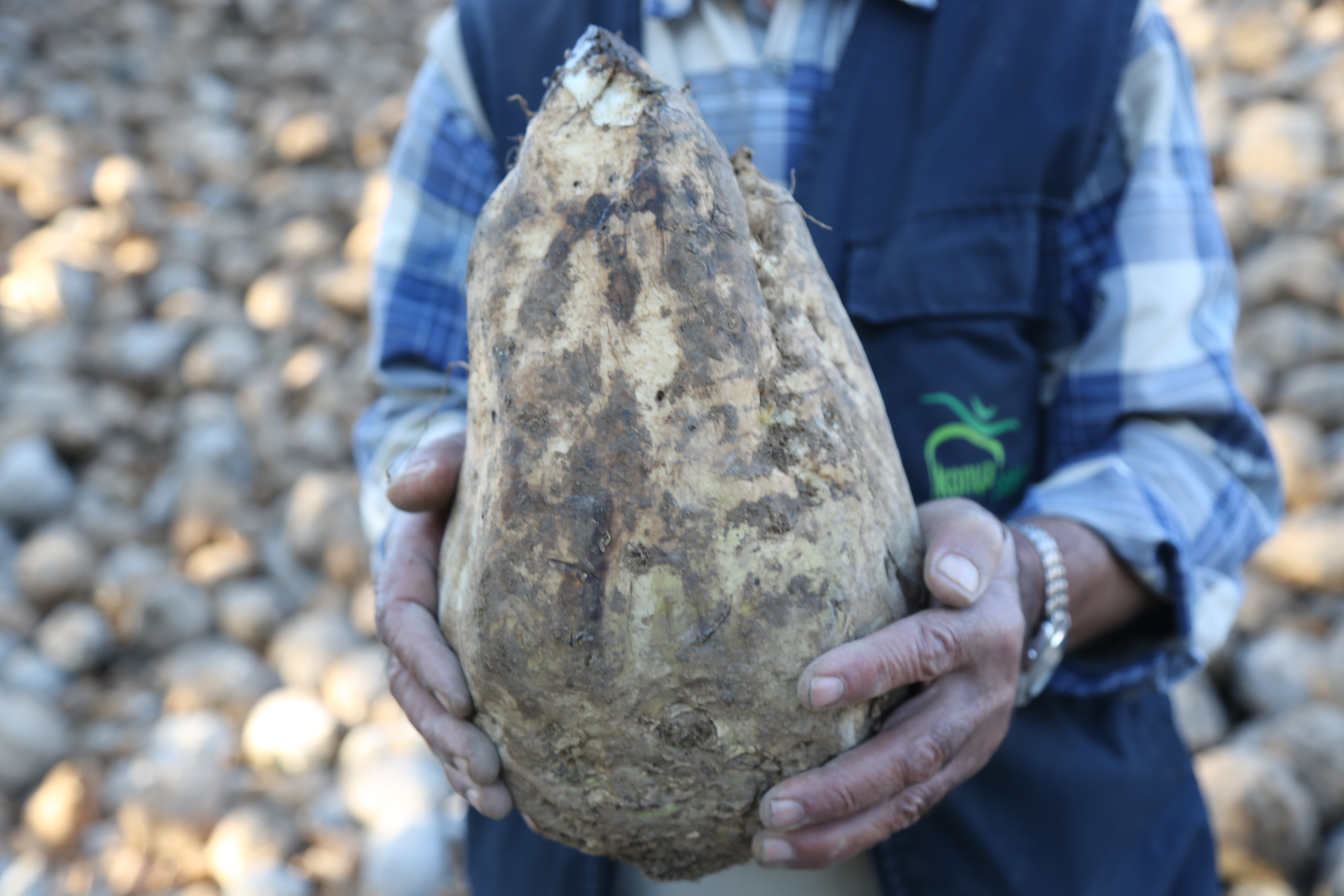 Erkoyuncu 2025-2026 kampanya sezonunu değerlendirdi - Görsel 2