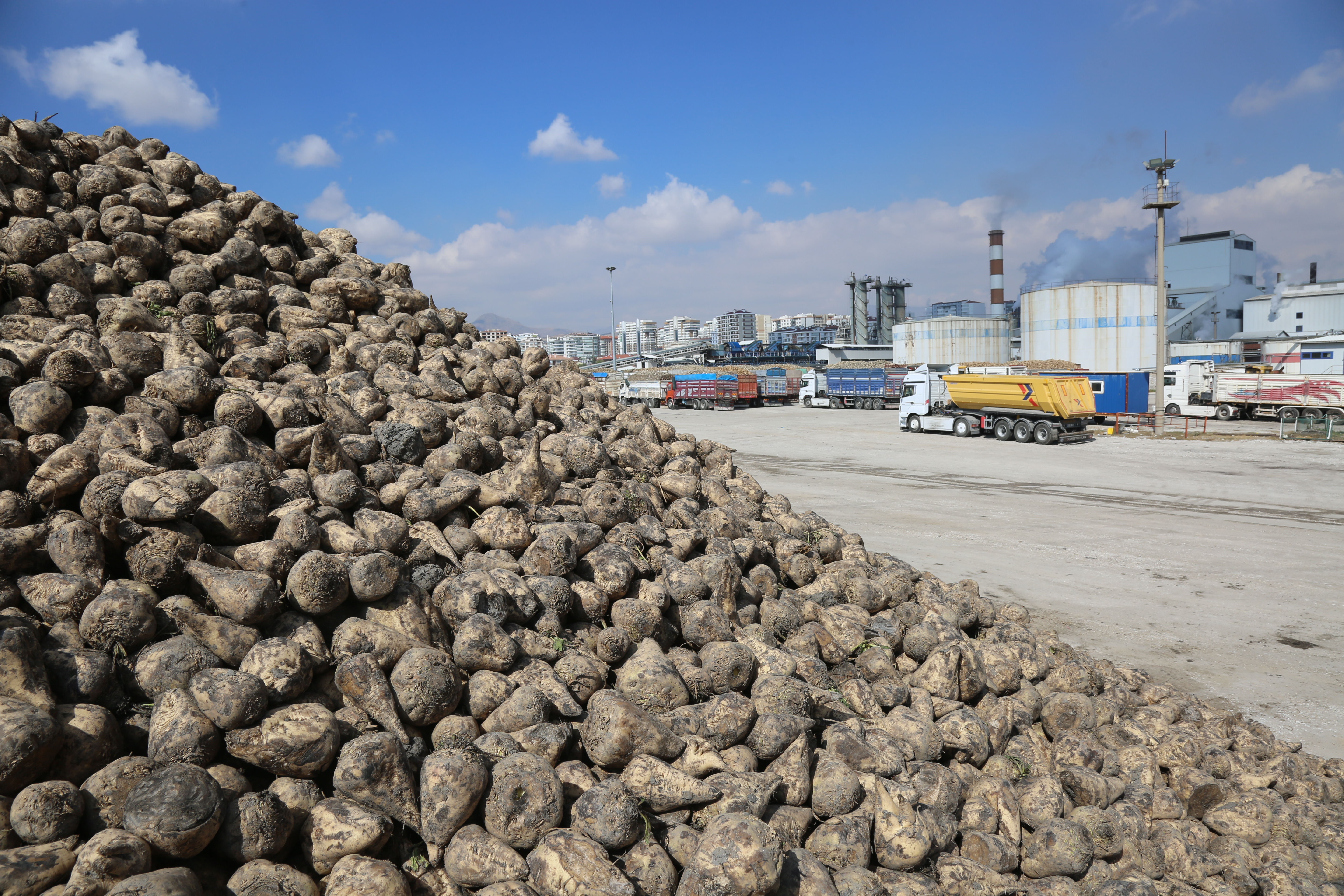 Erkoyuncu 2025-2026 kampanya sezonunu değerlendirdi - Görsel 3