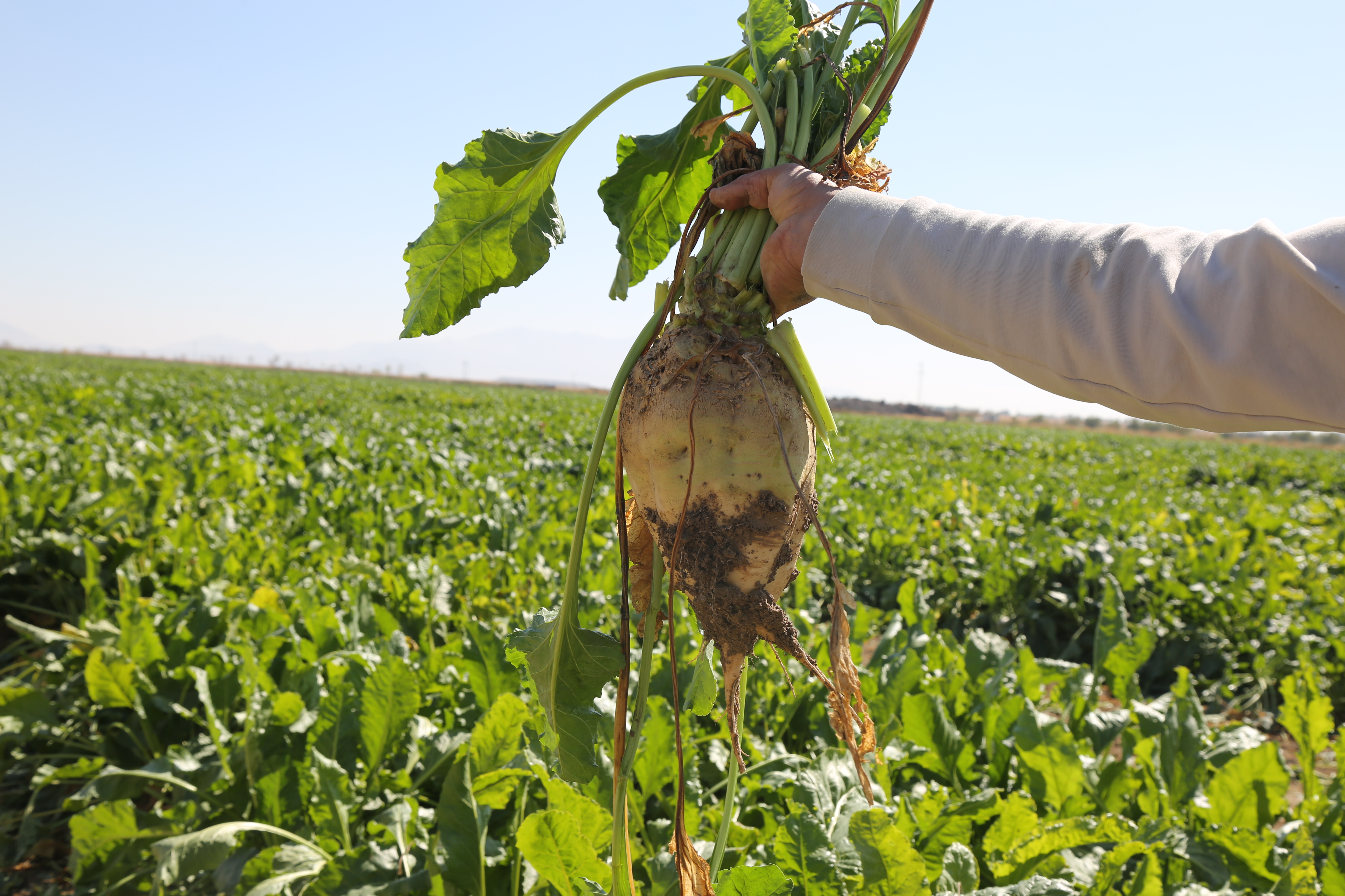 Erkoyuncu 2025-2026 kampanya sezonunu değerlendirdi - Görsel 4