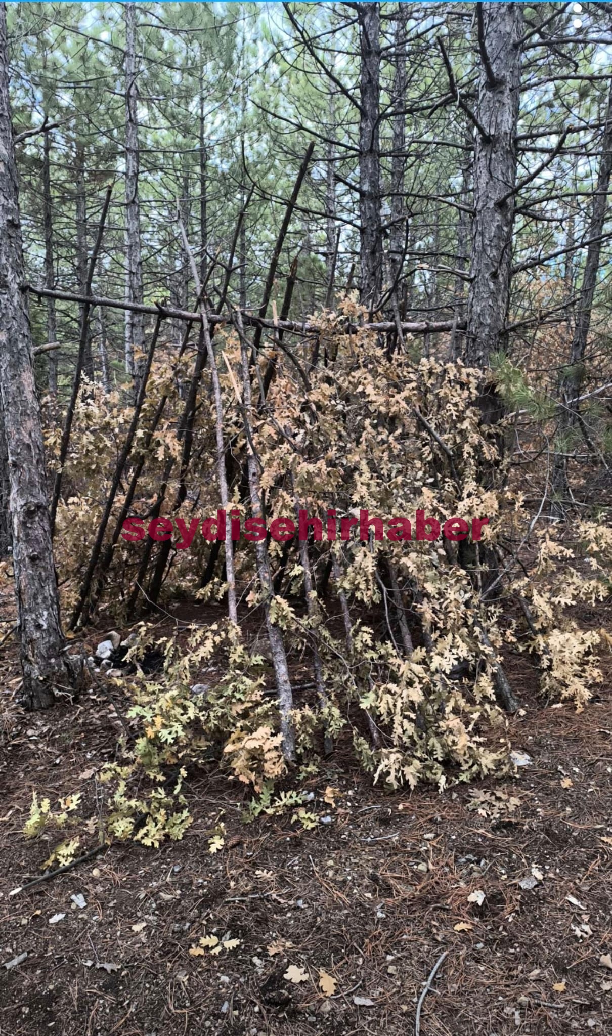Beyşehir'de  6 gündür aranan Berk İvacık ölü bulundu - Görsel 1