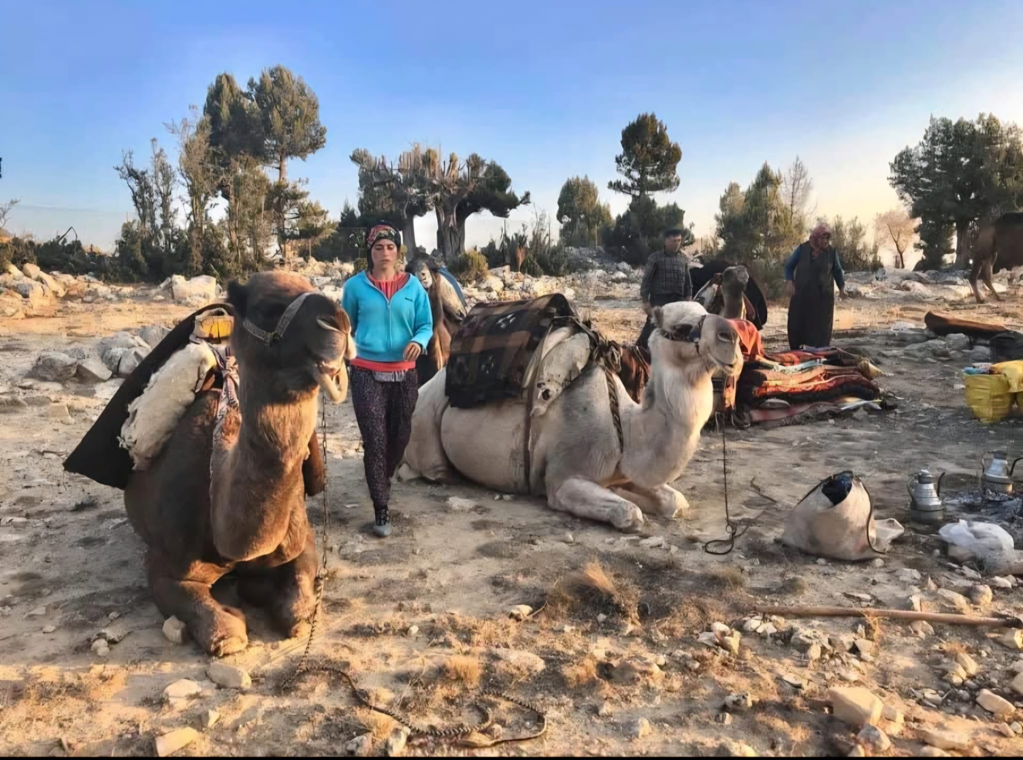 Sarıkeçili Yörüklerin develi 'kış yurdu' yolculuğu sürüyor - Görsel 1