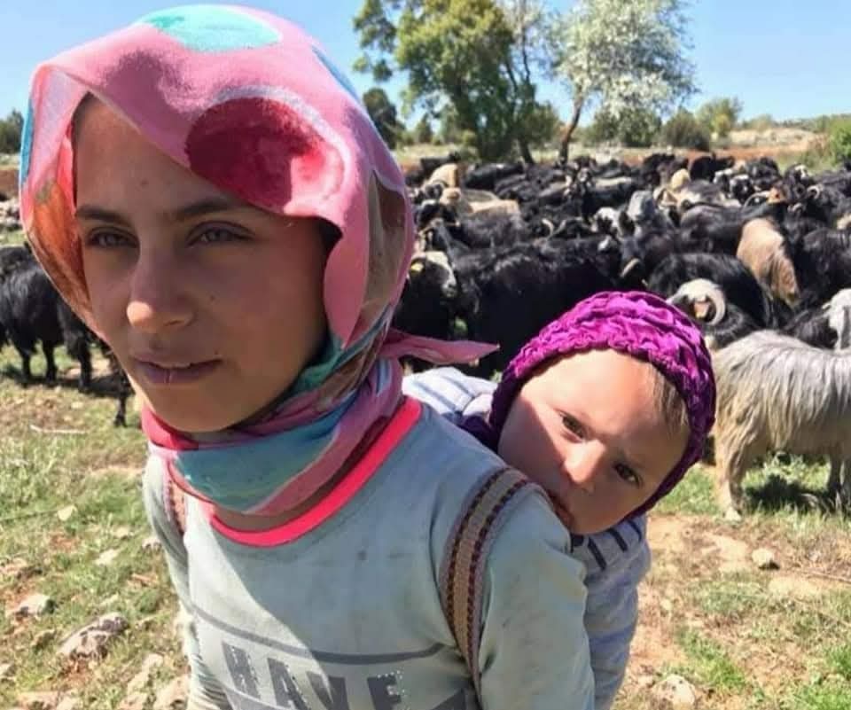 Sarıkeçili Yörüklerin develi 'kış yurdu' yolculuğu sürüyor - Görsel 2