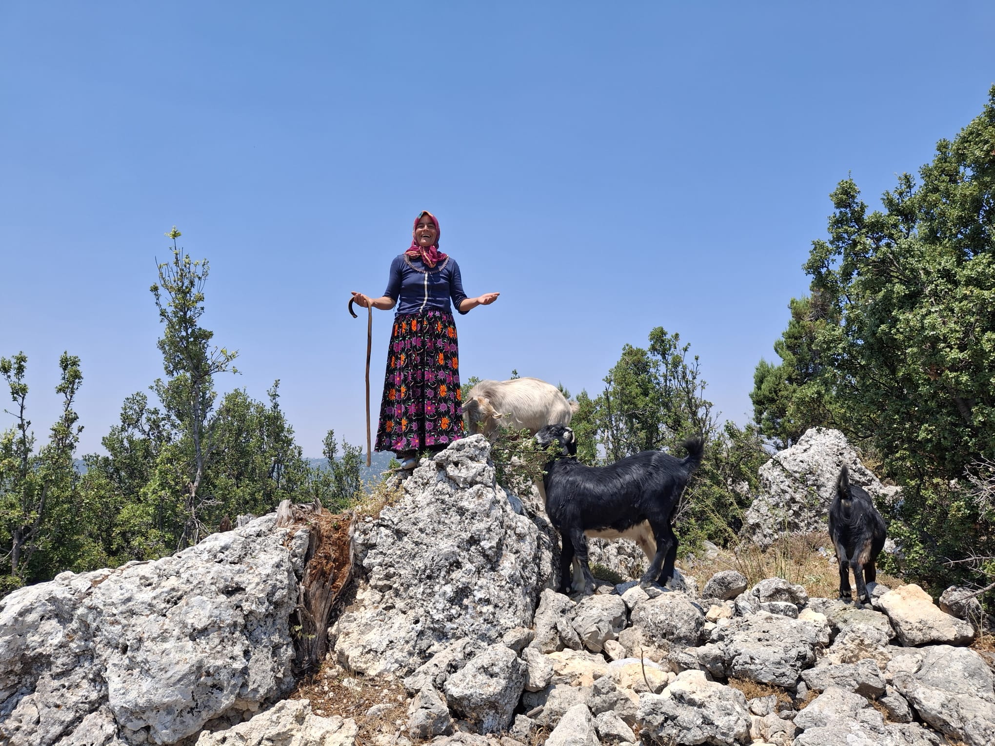 Sarıkeçili Yörüklerin develi 'kış yurdu' yolculuğu sürüyor - Görsel 3