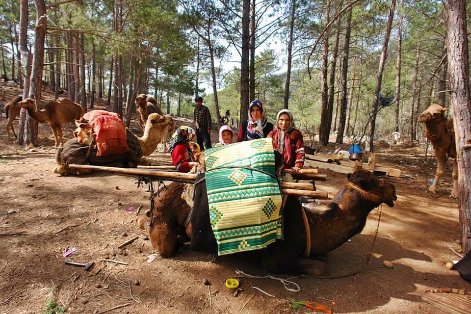 Sarıkeçili Yörüklerin develi 'kış yurdu' yolculuğu sürüyor - Görsel 4