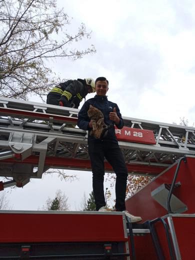 Seydişehir'de, çatıda mahsur kalan kedi itfaiyenin yardımıyla kurtarıldı - Görsel 3