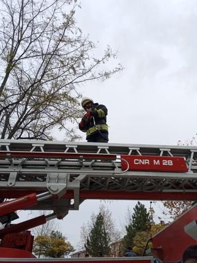 Seydişehir'de, çatıda mahsur kalan kedi itfaiyenin yardımıyla kurtarıldı - Görsel 4