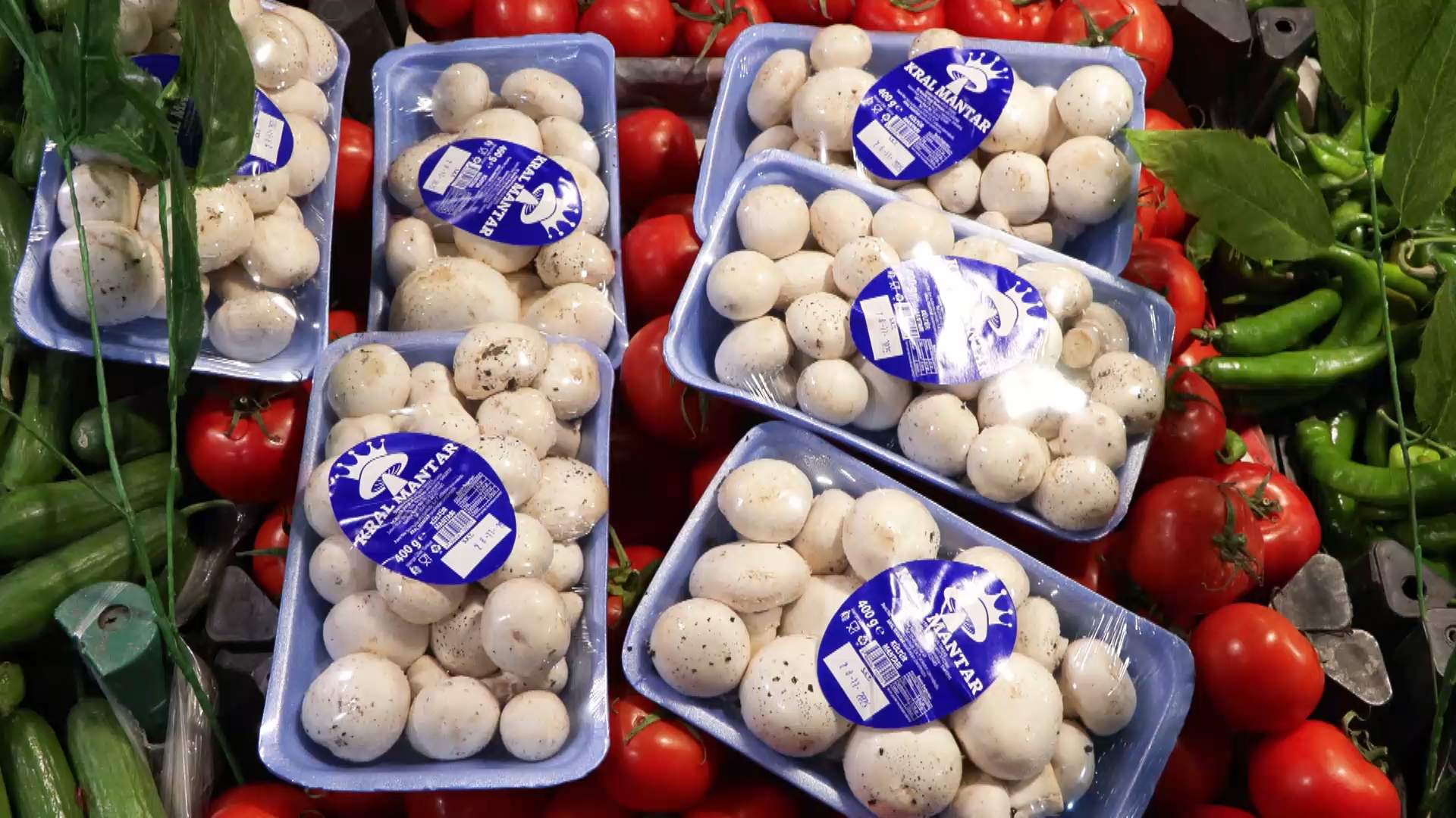 İstanbul- 'İstanbul'da bir ayda 60 kişi mantar zehirlenmesi nedeniyle hastaneye başvurdu' - Görsel 1