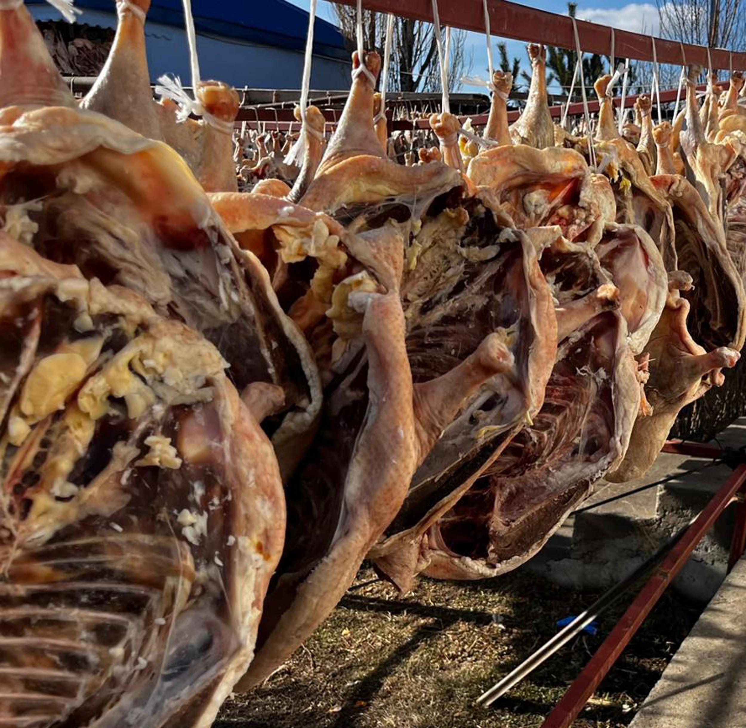 Gurbetteki Karslılar için 900 kazı keserek kurutmaya bıraktı - Görsel 3