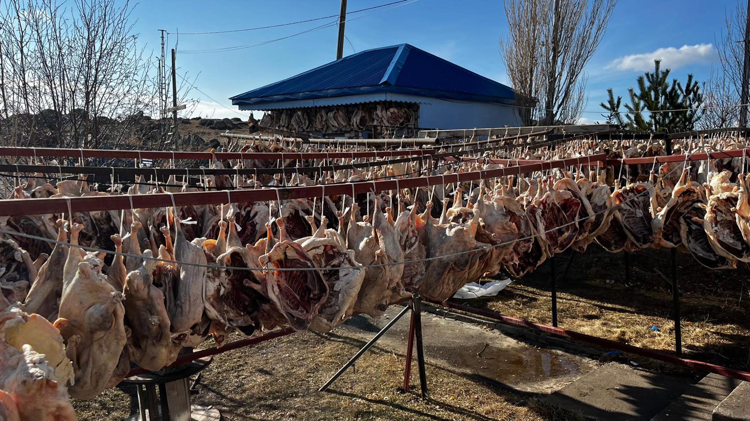 Gurbetteki Karslılar için 900 kazı keserek kurutmaya bıraktı - Görsel 4