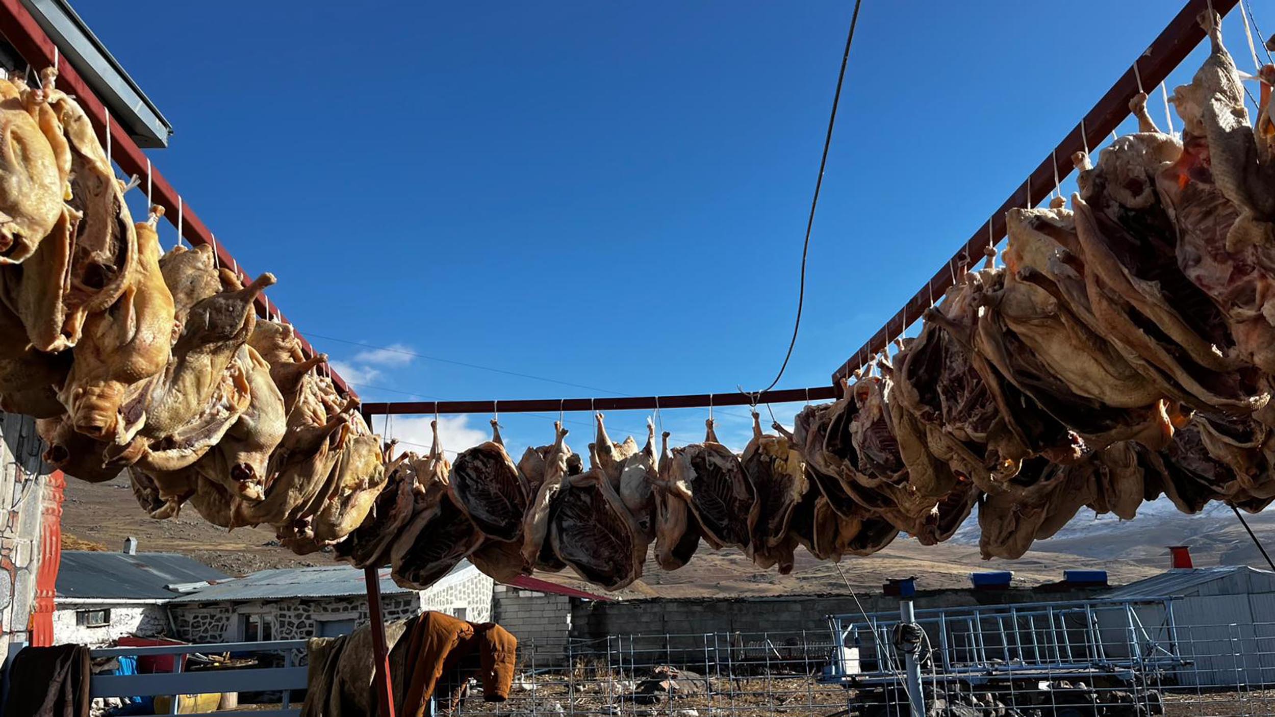 Gurbetteki Karslılar için 900 kazı keserek kurutmaya bıraktı - Görsel 7