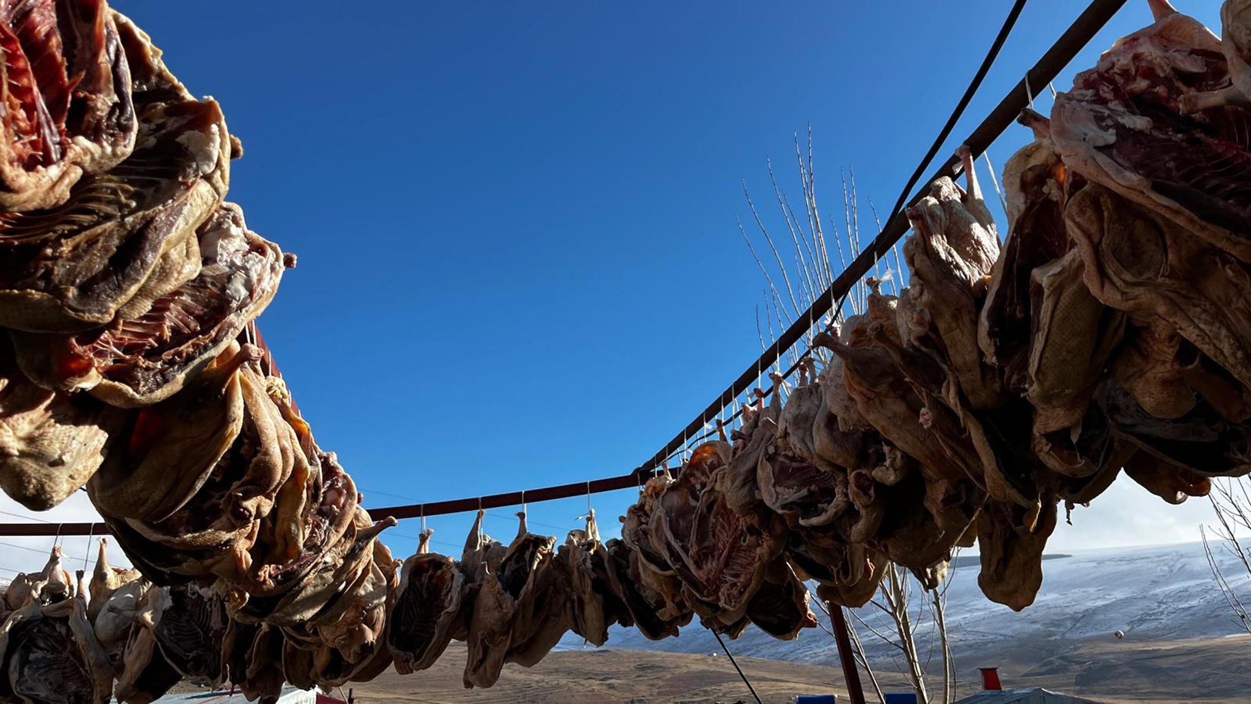 Gurbetteki Karslılar için 900 kazı keserek kurutmaya bıraktı - Görsel 8