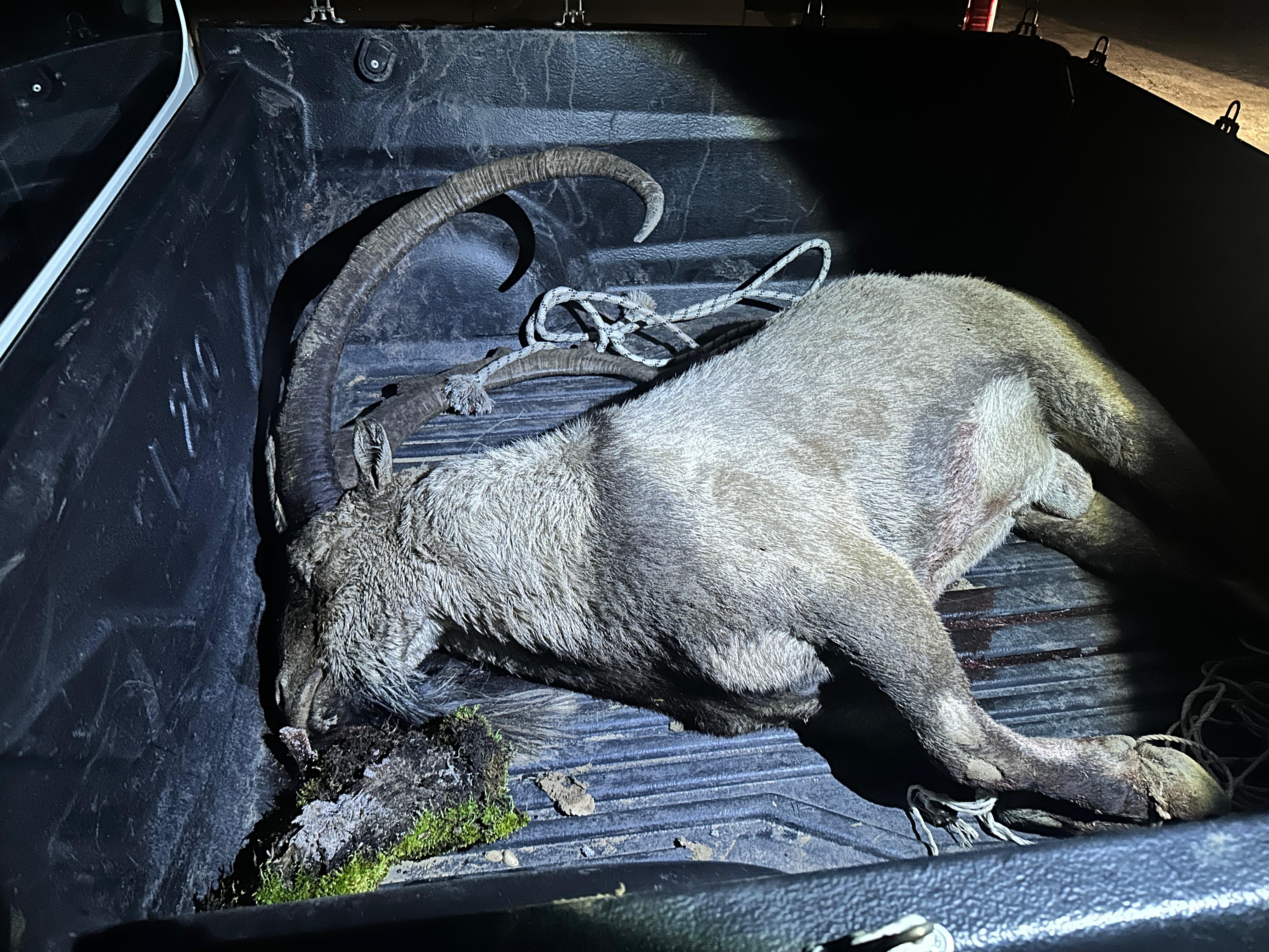 Tunceli'de yaban keçisi avlayanlara dron destekli operasyon - Görsel 2