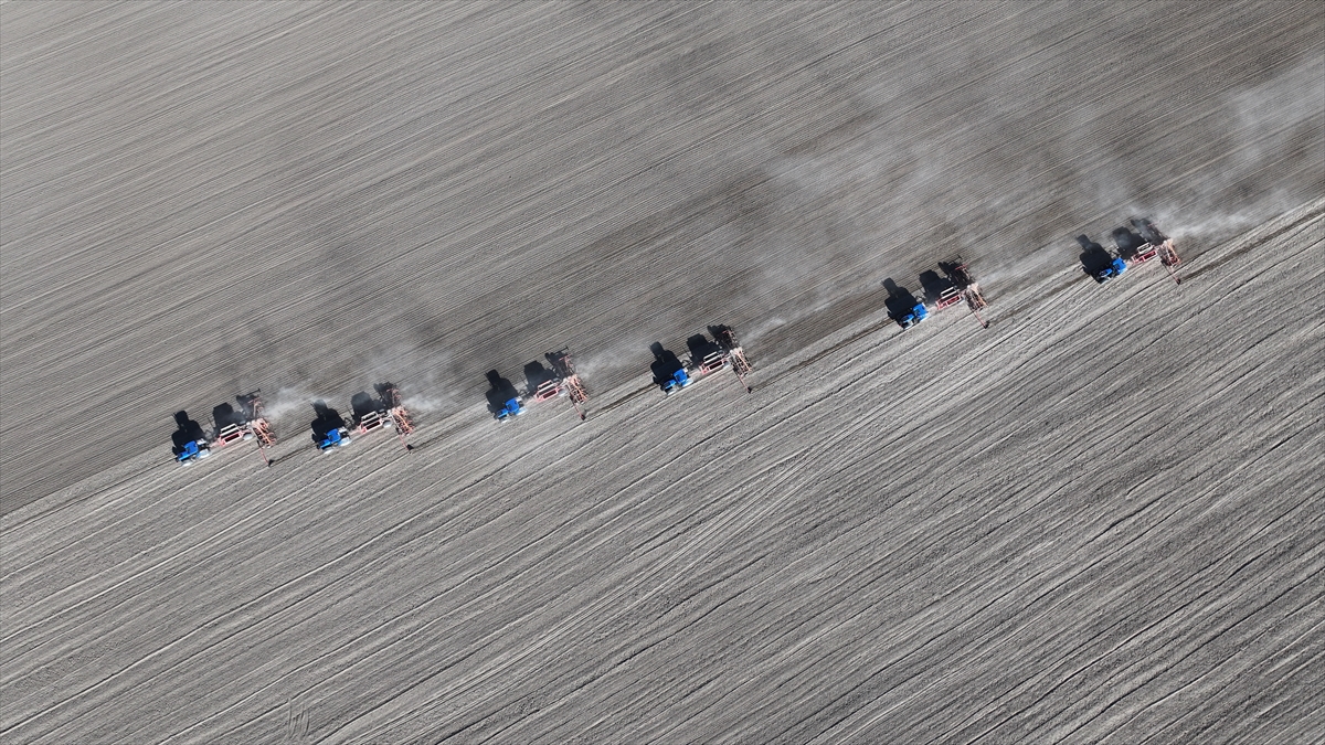 Malya Tarım İşletmesi'nde kuraklığa dayanıklı tohumlarla üretim yapılıyor - Görsel 1