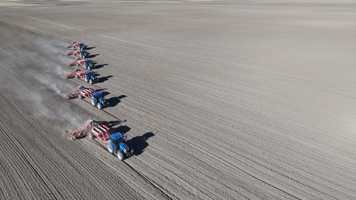 Malya Tarım İşletmesi'nde kuraklığa dayanıklı tohumlarla üretim yapılıyor - Görsel 2