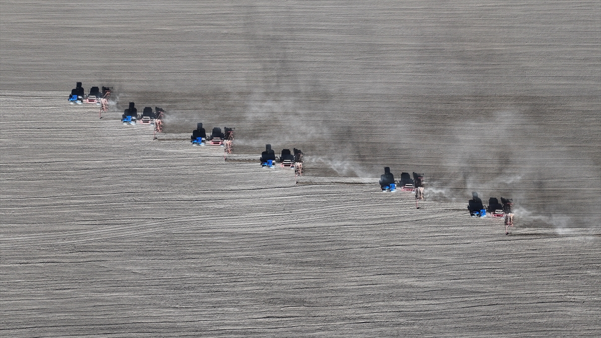Malya Tarım İşletmesi'nde kuraklığa dayanıklı tohumlarla üretim yapılıyor - Görsel 3