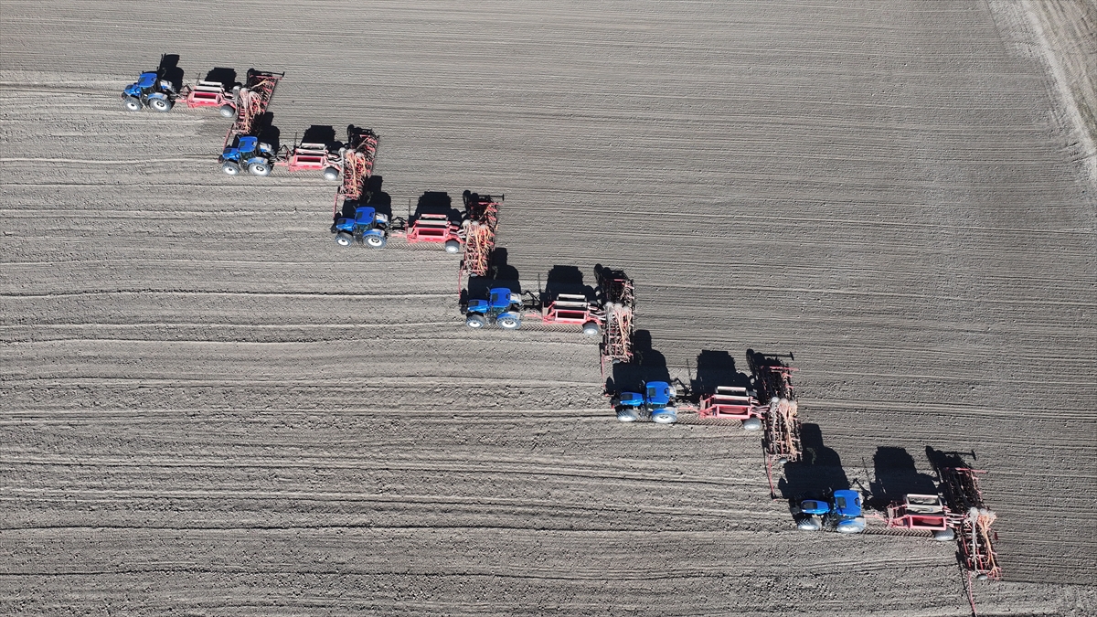 Malya Tarım İşletmesi'nde kuraklığa dayanıklı tohumlarla üretim yapılıyor - Görsel 4