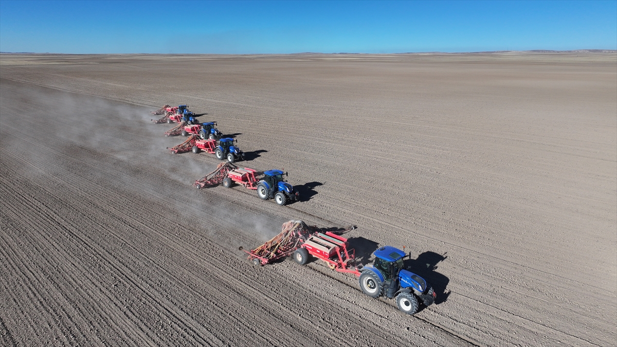 Malya Tarım İşletmesi'nde kuraklığa dayanıklı tohumlarla üretim yapılıyor - Görsel 5