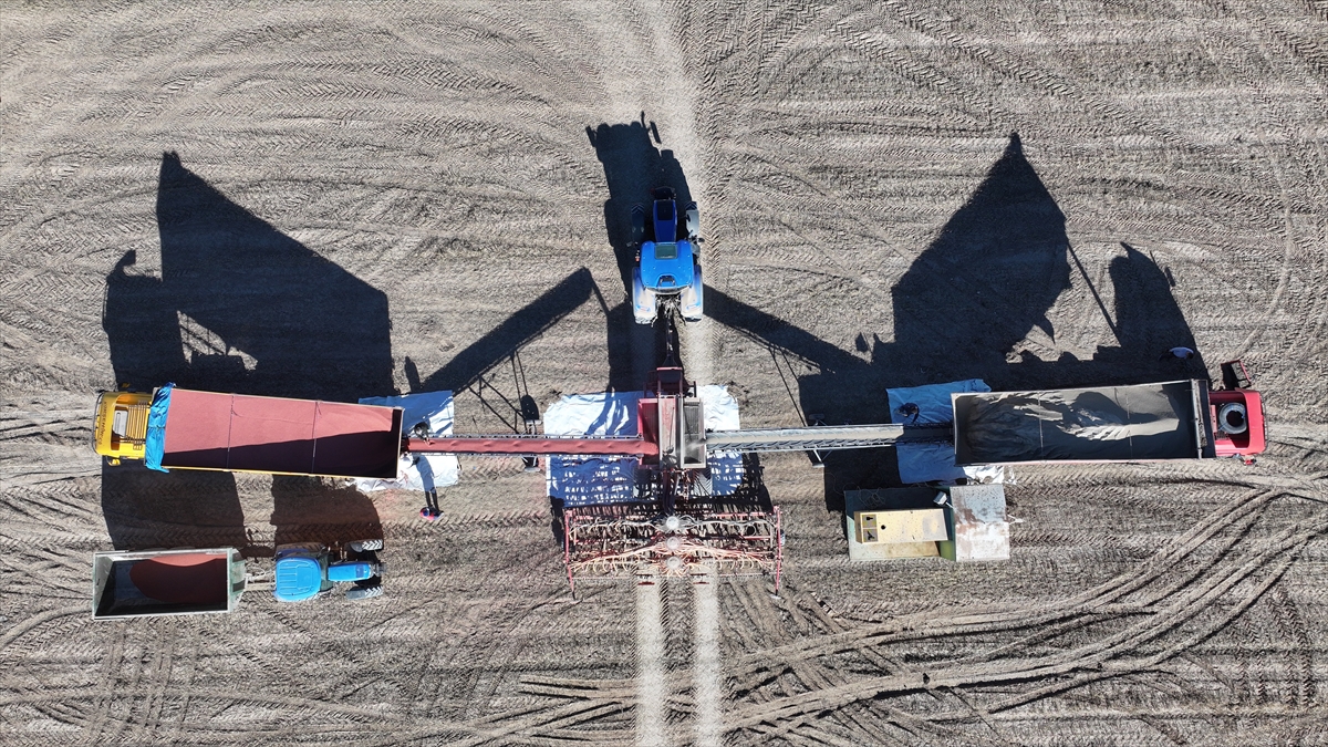 Malya Tarım İşletmesi'nde kuraklığa dayanıklı tohumlarla üretim yapılıyor - Görsel 7